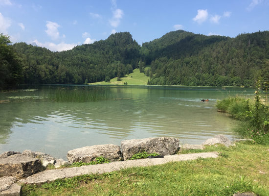 alatsee-rundweg