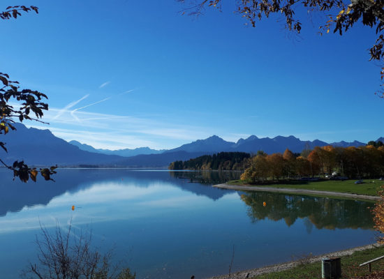 Forggensee im Herbst mit den Alpen im Hintergrund