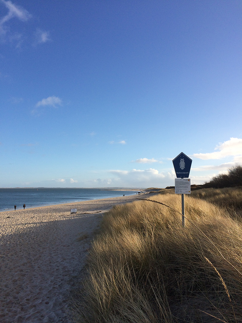 Sylt, Ferienhaus Immenhus/Raanhus - Sandstrand bei sonnigem Wetter