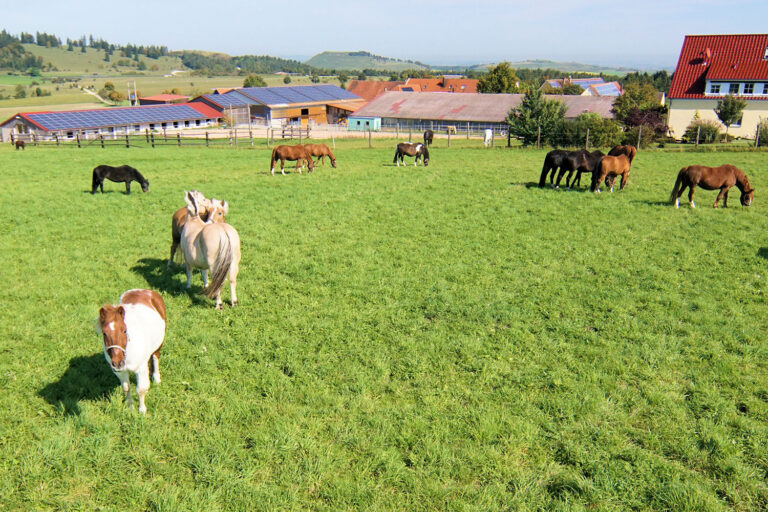 reitanlage-haertsfeldhof-bopfingen-hofrundgang