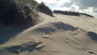 Dünen am Strand von Renesse