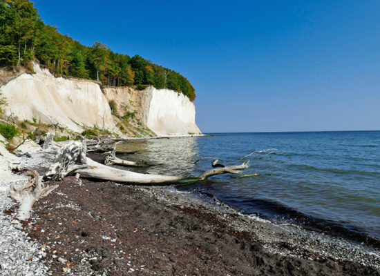 Rügen - Ferienhaus Wiekend Steilküste und Kreidefelsen